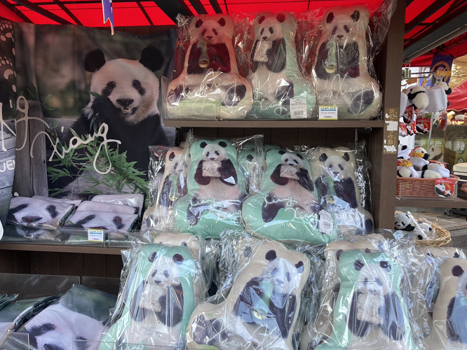必見 上野動物園でおすすめのお土産14選 パンダのシャンシャンやハシビロコウの