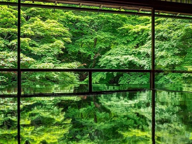 京都 人気の絶景スポット8選 Snsで話題の名所や紅葉が映える