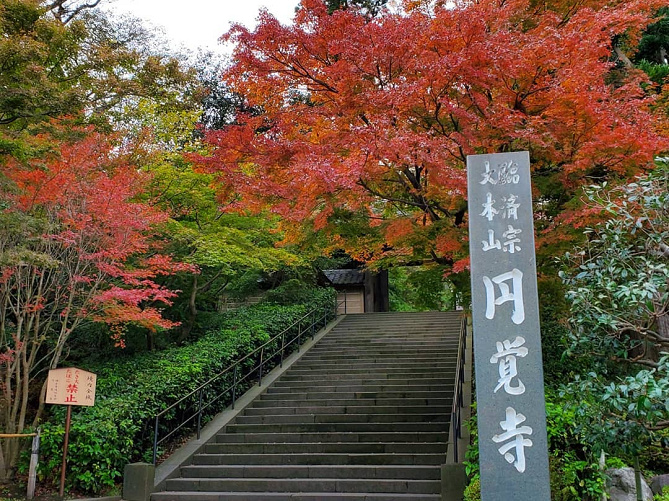 鎌倉 円覚寺の見どころを紹介 関東最大の鐘や迫力満点の白