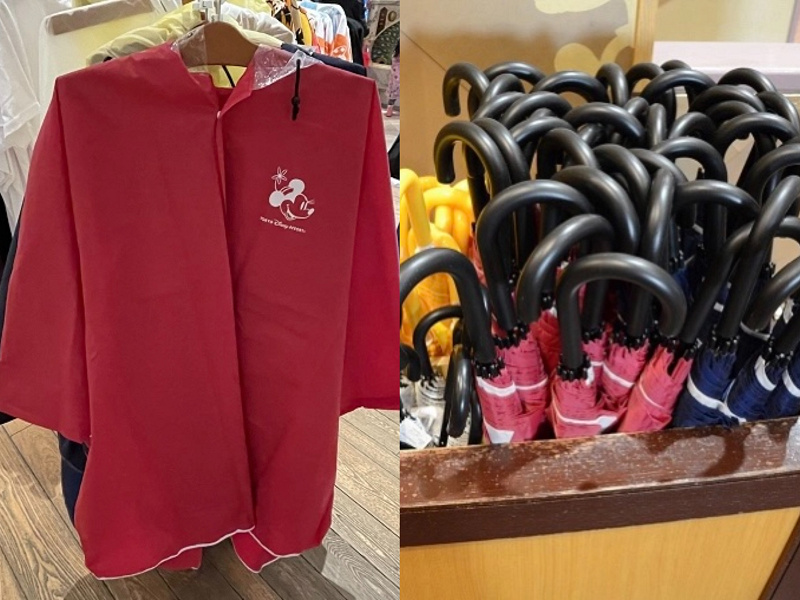 雨の日のディズニー カッパor傘どっちがおすすめ それぞれのメリットとデメリット