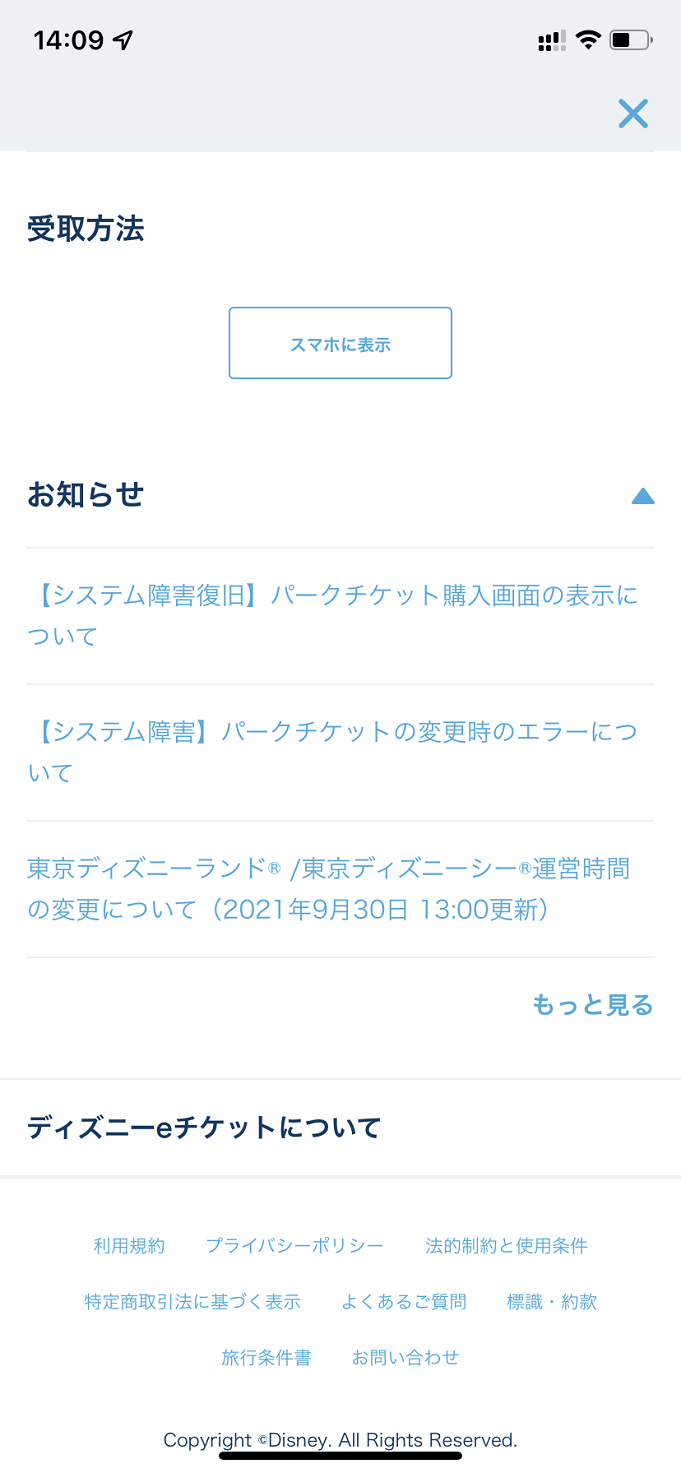 11 19更新 ディズニーチケット予約攻略法 購入できたポイントを徹底解説