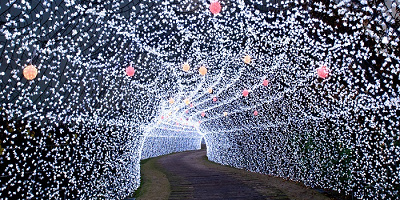 【2021-2022】なばなの里イルミネーション情報!開催期間、チケット料金、見どころ、混雑情報まとめ!