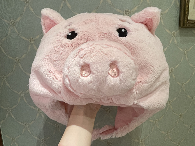 手荷物 めんどり 弁護人 ハム ファン キャップ Yu An Jp