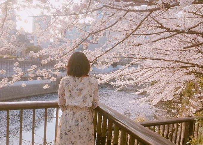 18 ディズニー オン クラシックのチケット購入方法 値段 スケジュールまとめ 18 ディズニー オン クラシックのチケット購入方法 値段 スケジュールまとめ