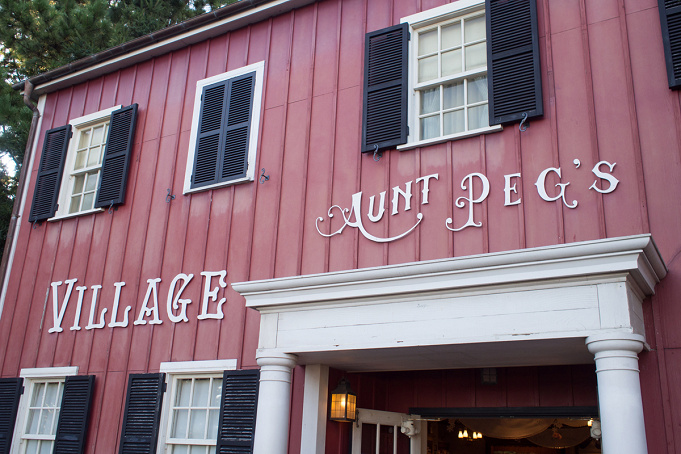 21 ダッフィーの服まとめ 値段 販売場所 季節限定のコスチュームも登場