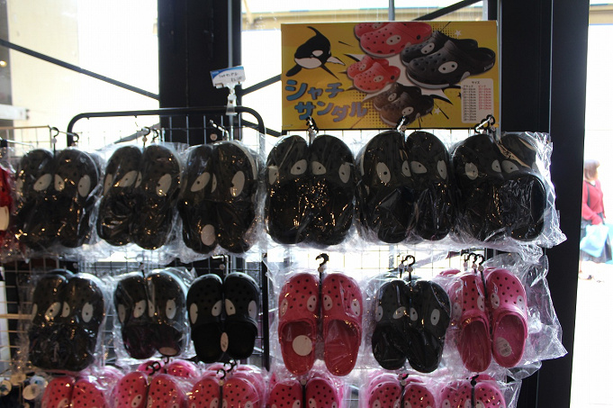 鴨川シーワールド 人気 おすすめのお土産情報まとめ お菓子 ぬいぐるみ 文房具などを一挙紹介