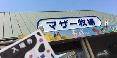 【2018】マザー牧場営業時間まとめ!平日・週末、春夏秋冬、サマーナイトファーム、休園日も