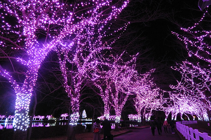 18 19 東武動物公園のイルミネーション料金 期間 無料日あり アクセス 混雑まとめ