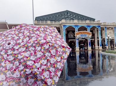 雨のディズニー ランド シーの楽しみ方 持ち物 服装まとめ 限定パレードあり おすすめ