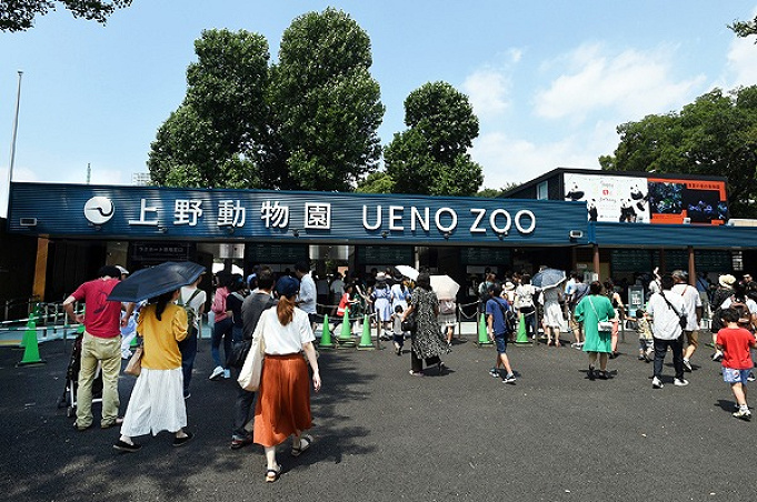 19 上野動物園の混雑解説 夏休み 冬休み 春休み Gwの混雑状況 回避方法まとめ