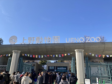 21 上野動物園の料金はいくら 1日チケット料金 年間パスポート 無料で入場