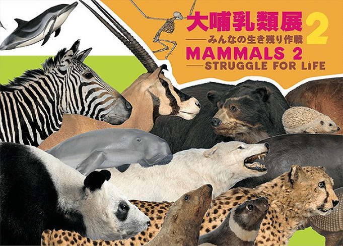 21 上野動物園の料金はいくら 1日チケット料金 年間パスポート 無料で入場できる日まとめ