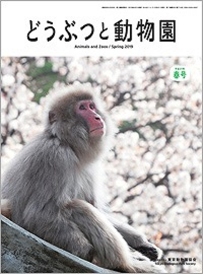 21 上野動物園の料金はいくら 1日チケット料金 年間パスポート 無料で入場できる日まとめ