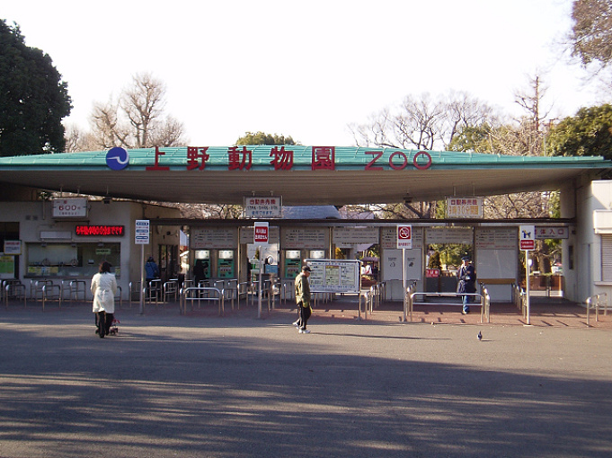 21 上野動物園のパンダ徹底解説 混雑 観覧方法まとめ 上野駅からのアクセスも