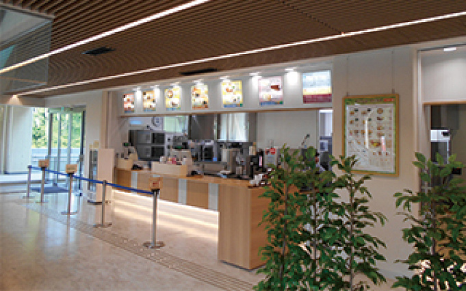 多摩動物公園 ランチにおすすめレストラン コアラ弁当 お弁当の持ち込みはok