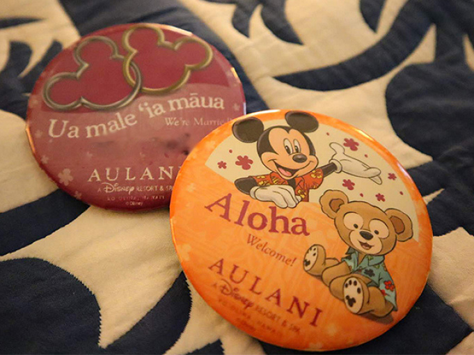 ハワイ アウラニ ディズニー リゾート宿泊記 楽しめること おすすめスポット 過ごし方まとめ