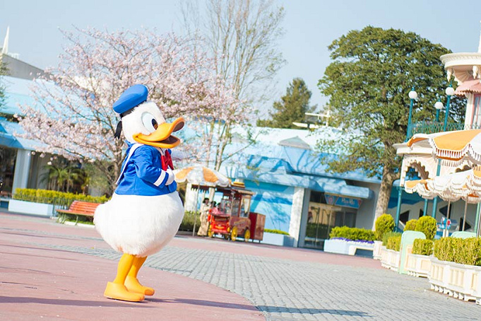 21春 3月のディズニーの服装 気温別おすすめコーデまとめ 寒さ対策も