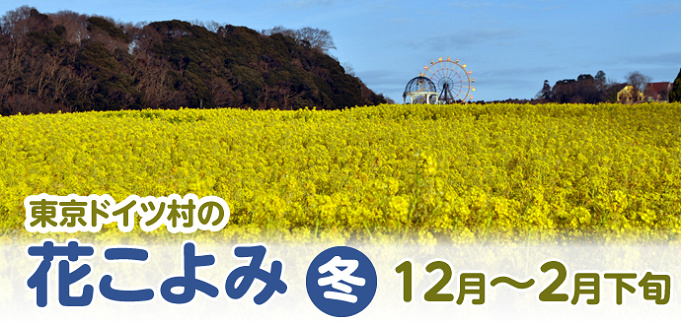 東京ドイツ村徹底ガイド 楽しみ方まとめ 料金 アクセス方法なども