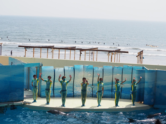 新江ノ島水族館のイルカショーを解説 大ジャンプが迫力満点 見どころ 混雑 注意点まとめ