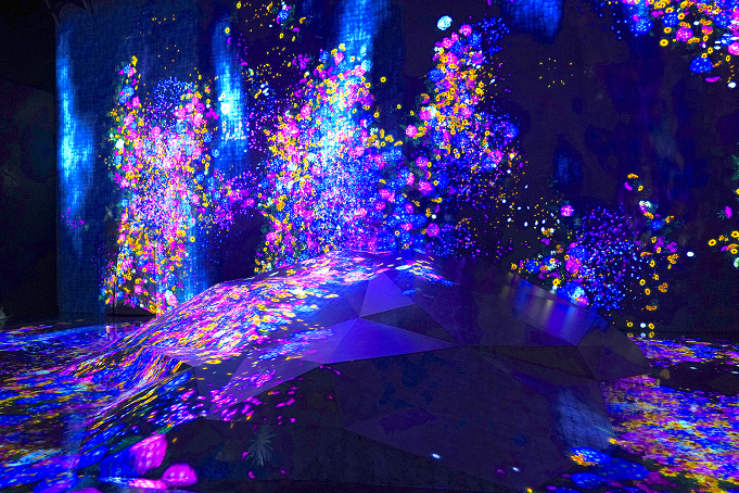 徹底比較 チームラボお台場と豊洲の違いを解説 ランプの森はお台場だけ おすすめはどっち