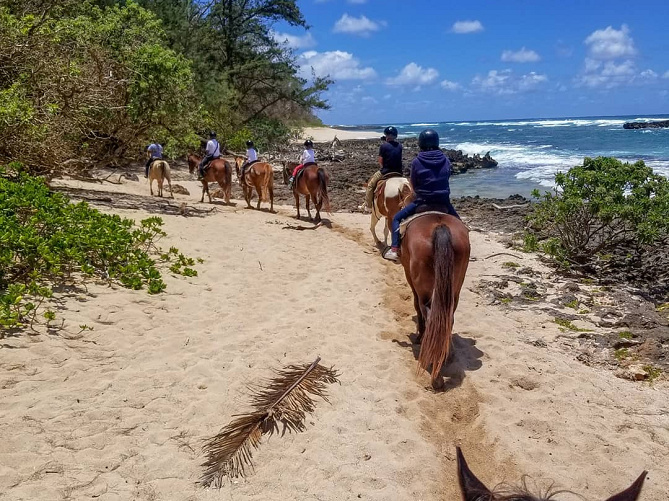 【ハワイ】乗馬が楽しめる人気スポット3選！大自然を馬と冒険するおすすめアクティビティ♪