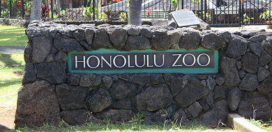 【ハワイ】ホノルル動物園の魅力を紹介！混雑してない？どんな動物に出会える？アクセスは？_