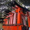 キャステル 【京都】観光名所をエリアごとに紹介!八坂神社、清水寺、平等院、伏見稲荷大社、下鴨神社など