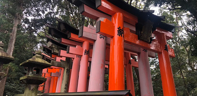 【京都】観光名所をエリアごとに紹介！八坂神社、清水寺、平等院、伏見稲荷大社、下鴨神社など