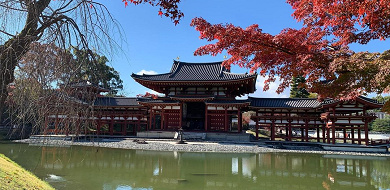 【京都】お茶の名産地「宇治」の魅力を徹底解説！観光スポットや抹茶スイーツ、寺社仏閣を紹介