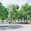 キャステル 【最新】中野セントラルパーク完全ガイド！おしゃれカフェ＆絶品グルメ、四季の森公園、アクセスも