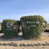 キャステル 【体験談】チェジュ島2泊3日の旅行モデルプラン！初心者におすすめの観光スポットや名物グルメ♪