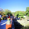 キャステル 【鎌倉】鶴岡八幡宮はこう楽しむ！良縁パワースポットや、境内カフェの和スイーツも♪