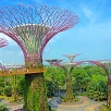 キャステル 【シンガポール】2大植物園の特徴を比較！ガーデンズバイザベイとボタニックガーデンを観光しよう