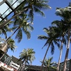 キャステル 【ハワイ】ホノルルの気温と服装ガイド！年間平均気温、天気、月別おすすめの服装も