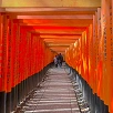 キャステル 【京都】夜行バスの所要時間と料金まとめ！夜行バスのメリットやおすすめ利用方法を解説！