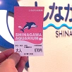 キャステル 【必読】しながわ水族館の割引サービスまとめ！公式割引&クーポンサイトでお得にチケットを買おう♪
