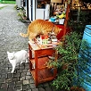 キャステル 【台湾】ネコだらけと話題の「猫村」を紹介！アクセスや雑貨屋、おすすめカフェ情報も♪