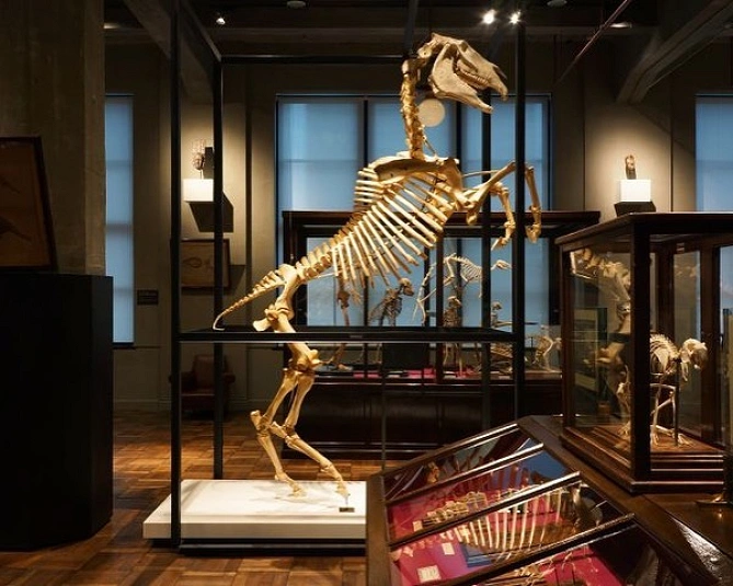 インターメディアテクの展示物