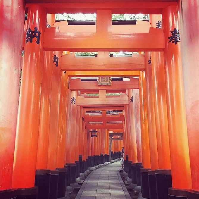 下から撮影すると迫力が出ます