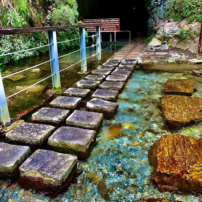 白楊歩道