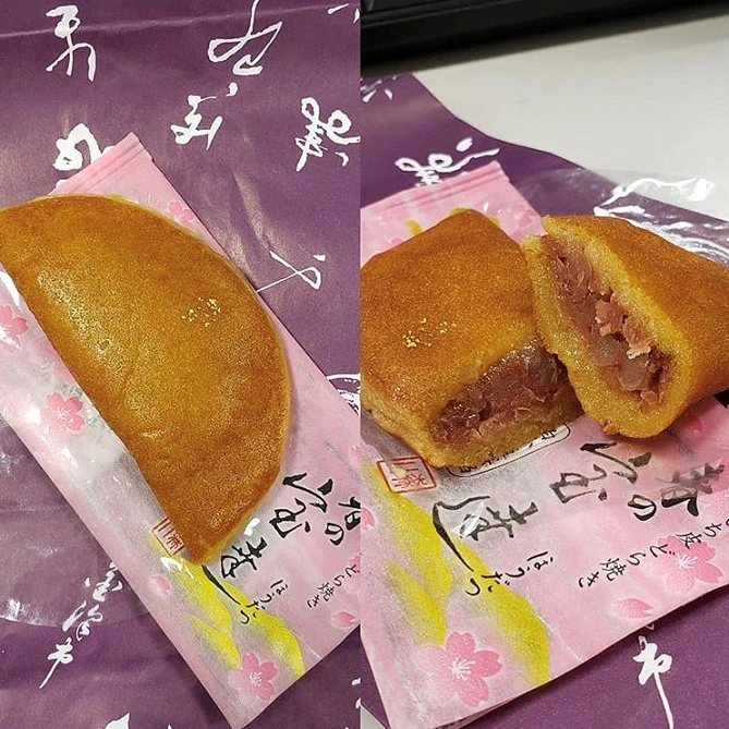 春の宝達