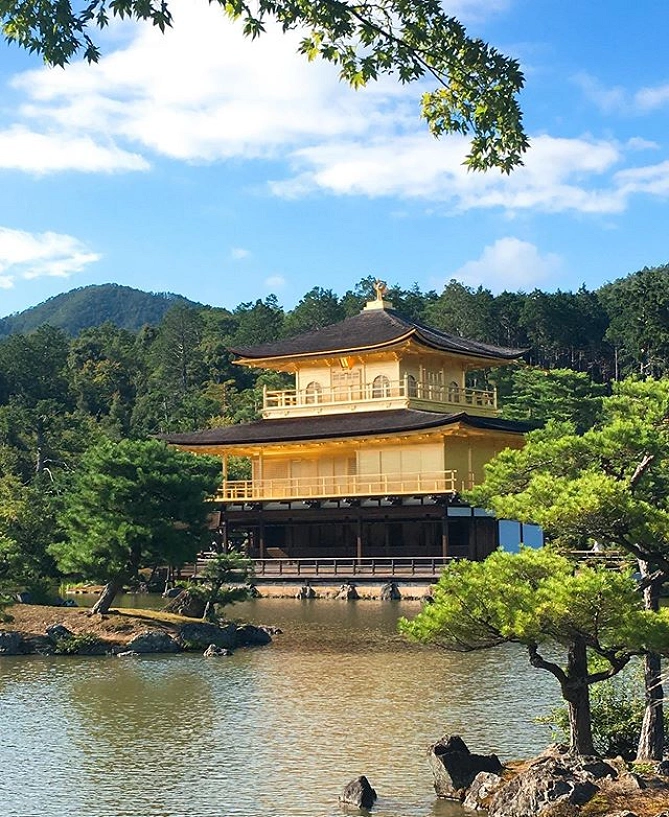 庭園との対比が素晴らしいです