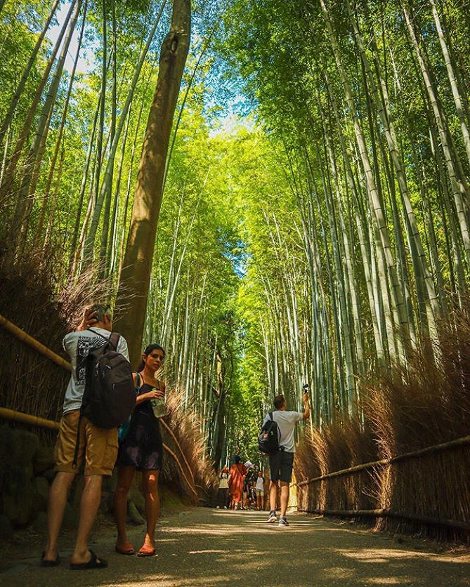 竹林の小径