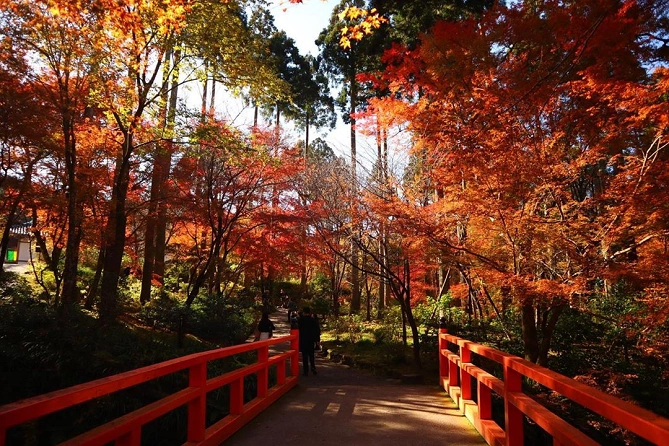 京都三千院