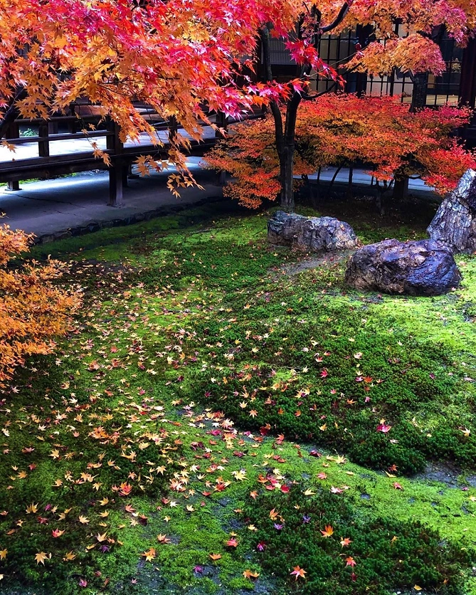建仁寺潮音庭