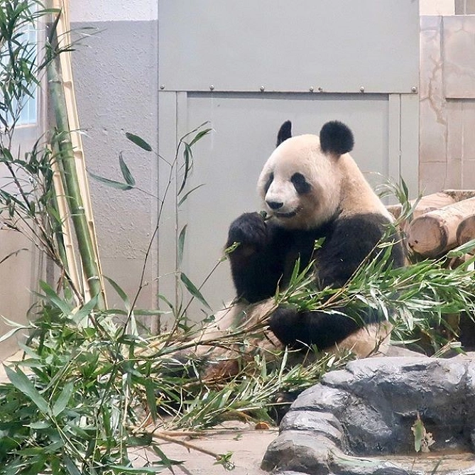 上野動物園