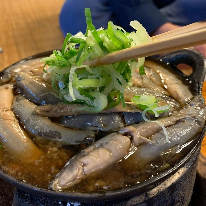 駒形どぜう