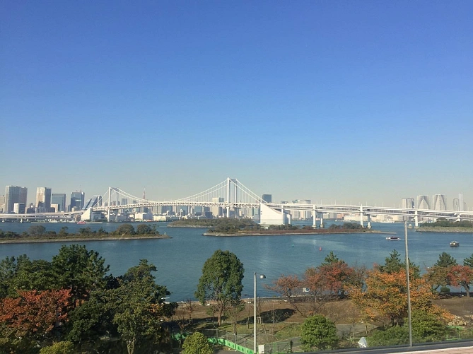 お台場ランチ