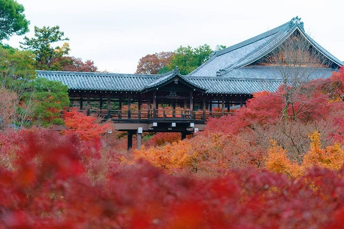 東福寺　紅葉