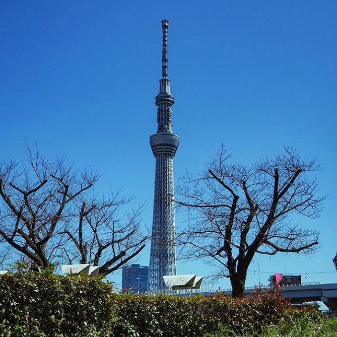 東京スカイツリー